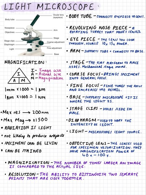 Revision notes for biology A level year one! I have lots more notes on here! Go check them out:) Microscope Notes Biology, Biology 2 Notes, Btec Applied Science Level 3, As Level Biology Notes, Gcse Science Revision Biology, Revision Notes Biology Alevel, Biology Revision Gcse Cells, Microbiology Study Note, Alevel Bio Notes