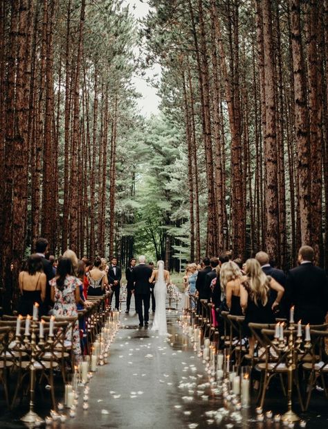 Intimate Torch Lake Wedding in the Woods. Forest Green Wedding, Twilight Wedding, Forest Theme Wedding, Torch Lake, Enchanted Forest Wedding, Stil Boho, Fairy Wedding, Lake Wedding, Wedding Aisle