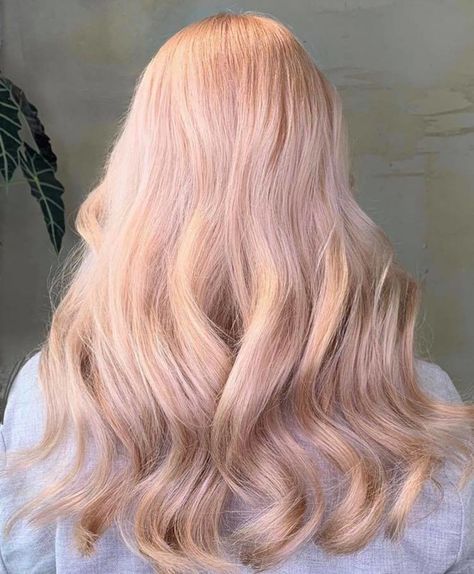 The Peachy Blonde Is The Perfect Light Hair Color For Fall Peachy Platinum Hair, Light Pink Strawberry Blonde Hair, Blonde Hair Pink Undertones, Light Peach Blonde Hair, Peachy Strawberry Blonde Hair, Light Blonde Pink Hair, Cream Colored Hair, Light Hair Color Ideas Blondes, Peach Hair Aesthetic