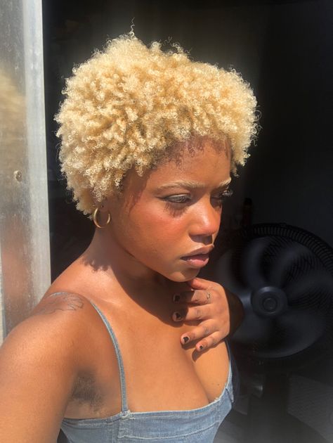 #crespos #4chair #4bhair #4c #blondecurlyhair  #blonde 4c Blonde Highlights, 4c Blonde Natural Hair, Blonde Type 4 Natural Hair, Blonde Bob Black Women Natural Hair, Blonde 4a Hair, Blonde Hair 4c, 4c Blonde Hair, Blonde Afro Hair Black Women, Blonde Short Afro