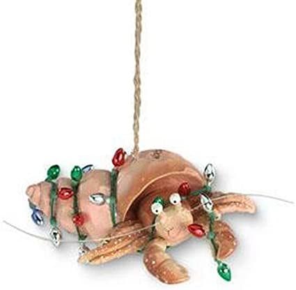 AmazonSmile: Cape Shore Beachy Coastal Holiday Hermit Crab Christmas Ornament : Home & Kitchen Nautical Christmas Ornaments, Crab Ornament, Resin Christmas, Beachy Christmas, Nautical Christmas, Coastal Holiday, Christmas Light Ornament, Hermit Crab, Coastal Christmas