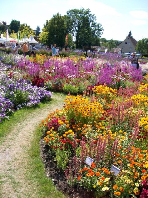 Chaos Flower Garden, Perinnals Flower Beds, Wildflower Garden Ideas, Flower Garden Landscaping, Wild Flower Garden, Dream Garden Backyards, Backyard Flowers Garden, Healing Garden, Backyard Flowers