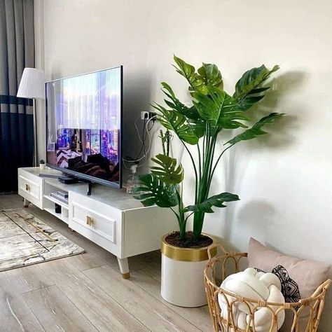 Heat absorbing plants at home 🪴🍃 #plants #homedesignsdworld #homedecor Plant Next To Tv, Living Room Corner Ideas Next To Tv, Plants Around Tv, Living Room Plants Decor, Ruang Tv, Living Room Decor Neutral, نباتات منزلية, Living Room Plants, Table Decor Living Room