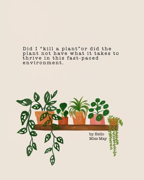 By Hello Miss May on Instagram: "😬😅😂😭 Did I just kill a plant or did the plant not have what it takes to thrive in this fast-paced environment - Sarah Lazarus Haha! Love this quote. Happy week all xx #plantparent" Plant Mom Quotes, Plant Jokes, Plant Quotes, Metal Health, Plants Quotes, Happy Week, Quote Happy, Mom Era, Sign Ideas