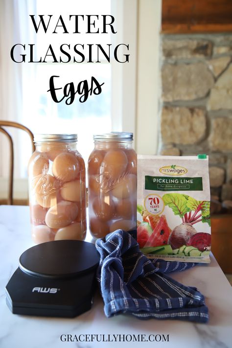 Glassing Eggs, Preserving Eggs, Landscaping Decor, Storing Eggs, Apple Butter Crock Pot, Home Canning Recipes, Canning Food Preservation, Canned Food Storage, Pickled Eggs