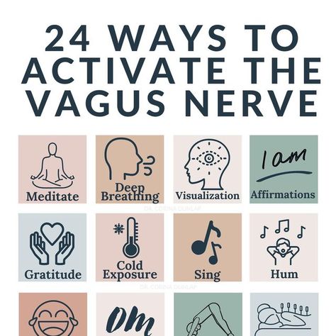 Dr. Corina Dunlap | Women’s Hormones on Instagram: "The vagus nerve plays a critical role in regulating the release and balance of hormones throughout the body. This is achieved through a variety of mechanisms, including the regulation of the hypothalamic-pituitary-adrenal (HPA) axis and the autonomic nervous system. The HPA axis is a complex feedback loop that regulates the release of stress hormones such as cortisol. The vagus nerve plays a critical role in regulating the HPA axis, helping t Dorsal Vagal, Female Hormone, The Vagus Nerve, Healing Techniques, Autonomic Nervous System, Vagus Nerve, Adrenal Fatigue, Good Health Tips, Critical Role