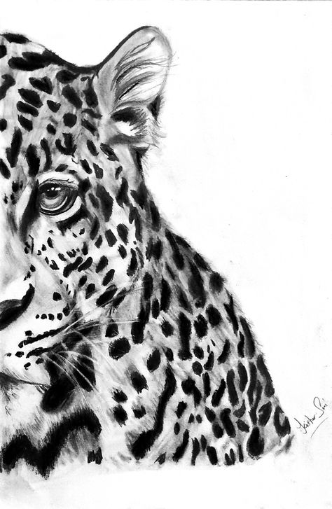 Cheetah sketch Cheetah Sketch, Cheetah Drawing, Cool Life, Drawing Ideas, Art Sketches, Like You, Sketch, Drawings, Animals