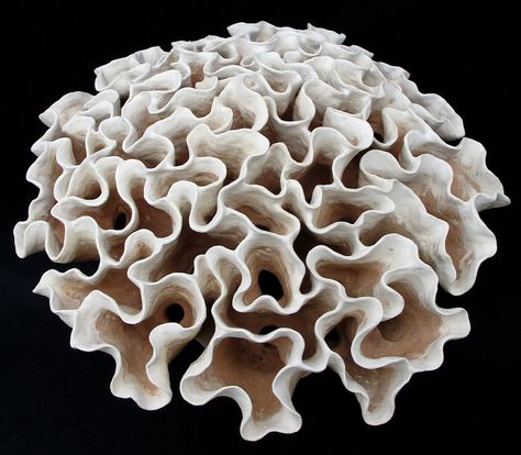 Tall Coral Bouquet (top) Biomorphic Art Sculpture, Coral Building, Coral Reef Sculpture, White Coral Reef, Clay Coral, Coral Texture, Coral Clay, Coral Bouquet, Coral Sculpture