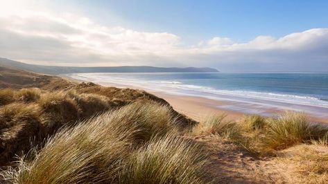 The best beaches in the Southwest | Travel | The Sunday Times Woolacombe Beach, British Beaches, Devon Coast, Europa Park, Dog Friendly Beach, Devon Uk, House By The Sea, North Devon, Summer Dates