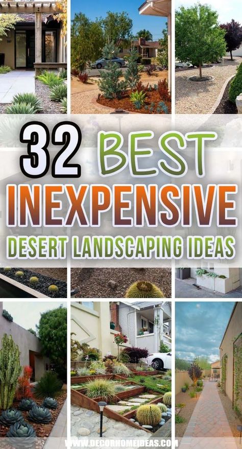 32 Inexpensive Desert Landscaping Ideas For a Perfect Drought-Tolerant Garden | Decor Home Ideas Small Front Yard Landscaping Ideas Arizona, Best Plants For Desert Landscaping, Xeriscape Front Yard New Mexico, Succulents Garden Landscape Front Yards, Desert Entryway Landscaping, Small Desert Patio Ideas, Southwestern Garden Ideas, Stone Front Yard Landscaping, Desert Hardscape Ideas