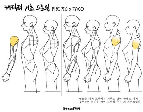 Looking Up Drawing, Side Pfp, Side View Drawing, Profile Drawing, Human Anatomy Drawing, Anatomy Sketches, Body Reference Drawing, 캐릭터 드로잉, Anatomy Drawing