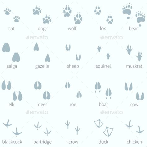 Snow Footprints, Animals Footprints, Footprints In The Snow, Bear Footprint, Acnh Path, Snow Illustration, Snow Pattern, Animal Footprints, Winter Carnival