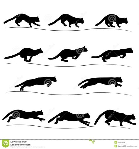 Cats Running Drawing, Running Cat Tattoo, Running Cat Illustration, Cat Running Reference, Cat Jumping Drawing, Cat Positions, History Assignment, Fairies Gif, Silhouette Chat