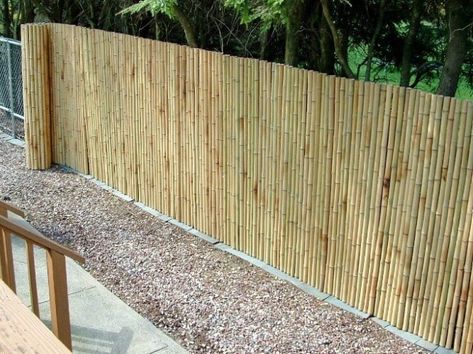 Modern Privacy Fence Ideas for Your Outdoor Space Bamboo Garden Fences, Bamboo Privacy, Small Fence, Garden Fence Panels, Japanese Bamboo, Diy Fence, Bamboo Garden, Privacy Fences, Bamboo Fence