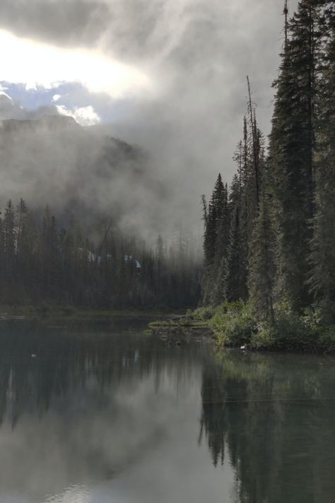 Dark Naturalism, Dark Forest Aesthetic, Iphone11 Pro, Trees Forest, Foggy Forest, Emerald Lake, Dark Nature Aesthetic, Forest Wallpaper, Wallpaper Download