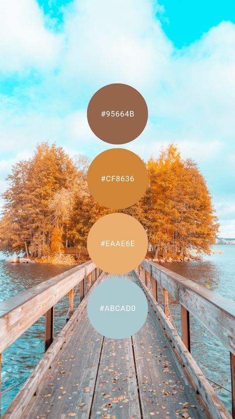 Sit back and relax with these gentle autumn pastels. Try it in the kitchen, bathroom, guest room, or home office. #colourpalette #colorpalette #autumn #fall #lightblue #orange #blue Autumn Colour Scheme, Autumn Pastel Color Palettes, Pastel Orange Color Palette, Pastel Autumn, Orange Palette, Pumpkin Mousse, Color Terracota, Orange Color Schemes, Orange Color Palettes