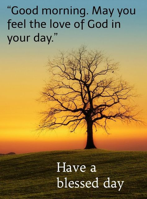 God Bless Good Morning, Good Morning From God, Good Morning Faith Quotes, Wishing You A Good Day, Blessed Morning Quotes Inspiration, Have A Blessed Day Good Morning, Blessed Day Quotes Inspirational, Good Morning Have A Blessed Day, Good Morning God Bless You