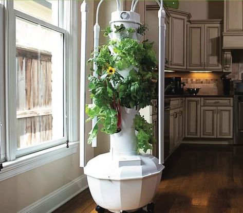 Easy, fast, indoor victory garden for 2020! Juice Plus Tower Garden, Grow Tower, Aeroponic System, Garden Tower, Tower Garden, Better Homes And Garden, Juice Plus, Herbs Indoors, Traditional Garden