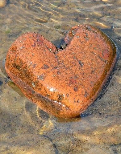 Stone cold heart | Debbie Mathews | Flickr Heart Nature, Heart Shaped Rocks, Heart In Nature, Orange Agate, I Love Heart, Heart Images, Heart Pictures, Love Rocks, Beating Heart