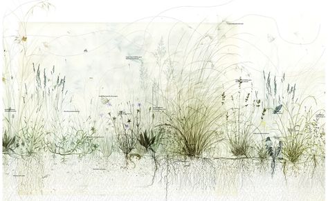 2022 Landscape Architecture Australia Student Prize (Joint National Winner): University of Technology Sydney | Landscape Australia Sydney Landscape, Landscape Architecture Section, Landscape Australia, Sydney Park, Landscape Diagram, Landscape Architecture Graphics, Student Prizes, Section Drawing, Chloe Walsh