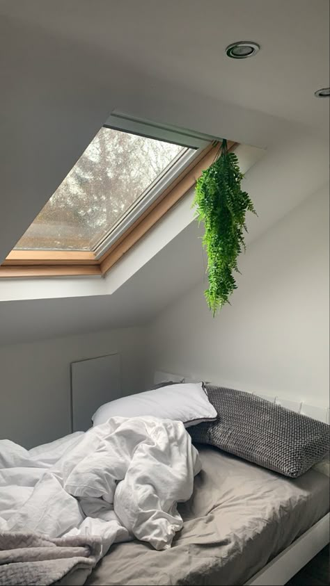 Bedroom Ceiling Window, Sky Light Room, Skylight Design Bedroom, Sky Light For Room, Sky Window Bedroom, Bedrooms With Skylights, Skylight Bedroom Aesthetic, Slanted Roof Bedroom, Skylight Bedroom