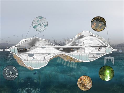 Float Lab designed to serve as "new kind of architecture for climate adaptation" Floating Architecture Concept, Marine Architecture, Underwater Architecture, Lab Architecture, Floating Structure, Sea Architecture, Ecology Projects, Water Architecture, Climate Adaptation