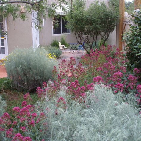 Xeriscape Landscaping New Mexico, New Mexico Garden Ideas, New Mexico Landscape Ideas, New Mexico Landscaping, New Mexico Garden, Southwestern Garden, Southwest Landscaping, Xeriscape Garden, Mexico Homes