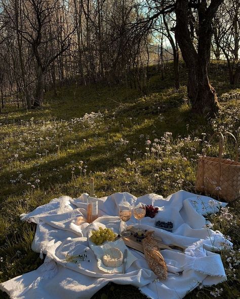 Picnic Inspiration, Theme Nature, Picnic Date, Cottage Core Aesthetic, After Life, Spring Aesthetic, A Picnic, Northern Italy, Summer Dream