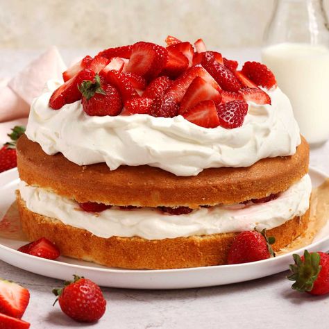 EASY ONE BOWL Strawberry Shortcake - Scientifically Sweet Strawberry Shortcake Cheesecake Bars, Layer Cake Filling, Strawberry Shortcake Cookies, Strawberry Shortcake Cheesecake, Strawberry Shortcake Cupcake, Homemade Recipe Books, Shortcake Cake, Strawberry Shortcake Cake, Stabilized Whipped Cream