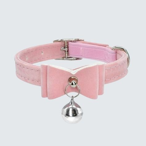 Luxury Velvet Cat Collar with Bell and Bow Pink Cat Collar Aesthetic, Aesthetic Cat Collar, Cat Collar Aesthetic, Pink Cat Collar, Fancy Cat Collar, Collar Ideas, Collar With Bell, Soft Cat, Dog Collar Boy