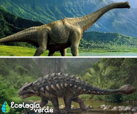 DINOSAURIOS HERBÍVOROS: Nombres, Tipos, Características e Imágenes Elephant, Animals