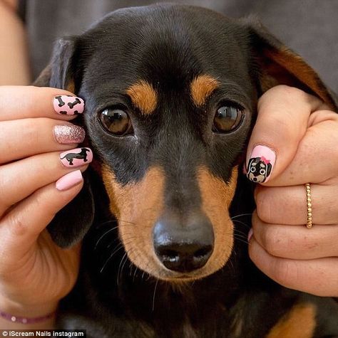 Nail art salon I Scream Nails paints miniature replicas of people's pets and partners on t... Dog Nail Art, Cracked Nails, Boho Nails, Hippie Nails, Dachshund Art, Weenie Dogs, Dog Nails, Dachshund Puppy, Dachshund Love