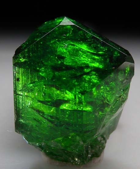 Chrome Tourmaline, Beautiful Rocks, Mineral Stone, Agate Crystal, Minerals And Gemstones, Rocks And Gems, Precious Gems, Minerals Crystals, Crystal Gems