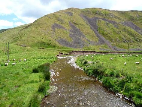 The River Alwin in Northumberland, England is a short, steep upland river that drains the Kidland Forest on the southern flanks of the Cheviot Hills. It rises at the edge of the Kidland Forest and flows south through the forest gaining various burns and cloughs, to become the White Burn, until it reaches the confluence of the Yoke Burn, where it forms the River Alwin. It reaches the hamlet of Low Alwinton where it joins the River Coquet. Cheviot Hills, Northumberland England, The River, The Forest, Country Roads, England, Forest, Road, Quick Saves