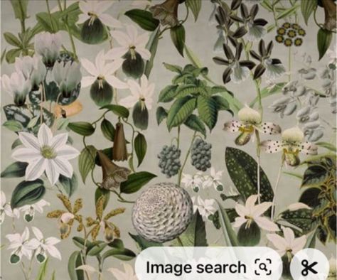 Wildflower Mural, Coral Collection, Garden Mural, Wallpaper Flower, Color Scale, Botanical Wallpaper, Bathroom Wallpaper, Wallpaper Online, Floral Garden