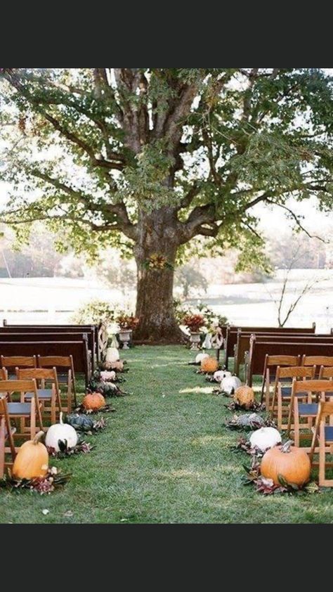 Fall Ceremony Decorations, Fall Halloween Wedding, Fall Wedding Ceremony Decorations, Outside Wedding Ceremonies, Tree Branch Wedding, Wedding Aisle Outdoor, Fall Ceremony, Fall Wedding Arches, Fall Backyard