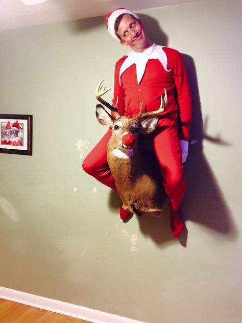 This dad's real-life Elf on the Shelf photos are hilariously creepy: Taking Elf on the Shelf to the next level Christmas Trivia, Days Until Christmas, Holiday Baby, One Year Old, Shelf Ideas, The Elf, On The Shelf, Christmas Elf, Christmas Photos