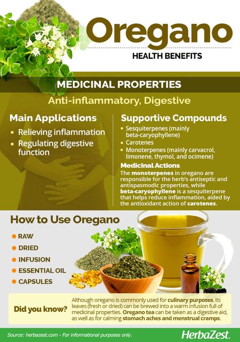 Oregano | HerbaZest Prim Rose Oil Benefits, Oregano Benefits, Juice Images, Oregano Oil Benefits, Oregano Leaves, Oregano Oil, Feminine Health, Herbal Apothecary, Vegetarian Options