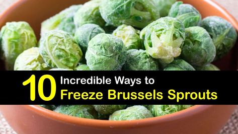 Tips for Freezing Brussels Sprouts - Tricks for Storing Brussels Sprouts in the Freezer Frozen Brussel Sprouts, Raw Brussel Sprouts, Freezing Brussel Sprouts, Freezing Vegetables, Small Cabbage, Shredded Brussel Sprouts, Fermentation Recipes, Freezer Burn, Sprout Recipes