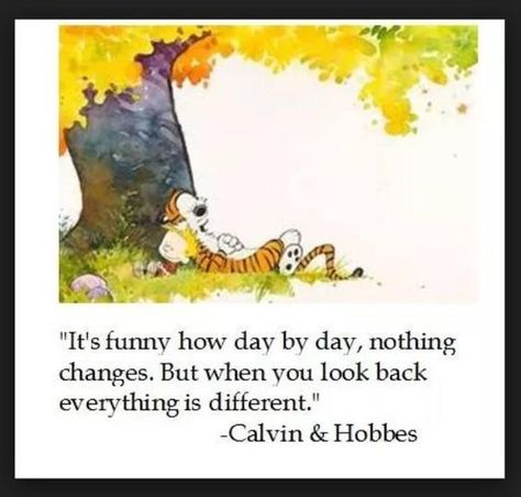 Calvin and Hobbes - It's funny how day by day, nothing changes. But, when you look back, everything is different. Calvin Und Hobbes, Calvin And Hobbes Quotes, Best Quotes Images, Calvin And Hobbes Comics, Watercolor Calendar, Little Buddha, Inspirational Quotes Pictures, Calvin And Hobbes, A Cartoon