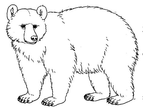 Bear Drawings | ... Worksheet Guide : Pictures Clip art Line Drawing Coloring Pictures Paw Print Clip Art, Polar Bear Coloring Page, Teddy Bear Coloring Pages, Embroidery Animals, Urs Polar, Bear Sketch, Bear Paw Print, Ideas Embroidery, Bear Drawing