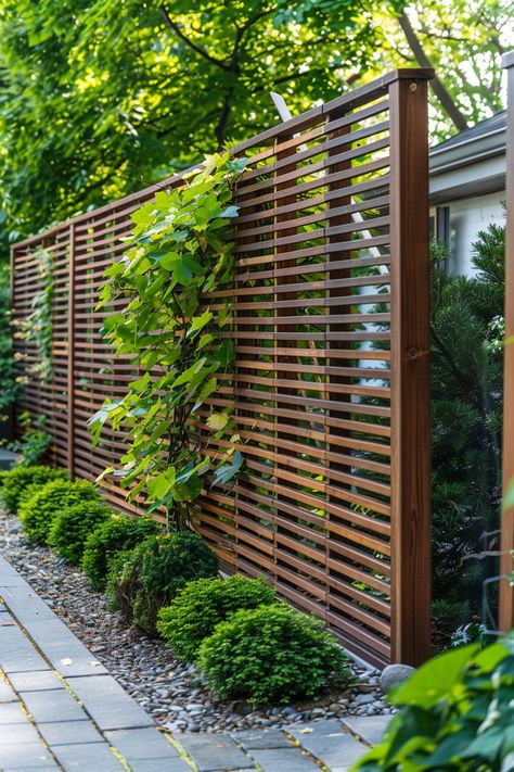 Backyard Privacy Ideas: Creating Secluded Spaces - Quiet Minimal Back Garden Wall Ideas, Living Screens Garden, Small Backyard Ideas Privacy, Backyard Partition Wall, Japanese Trellis Ideas, Hedging Ideas Privacy, Louvered Fence Privacy Screens, Privacy Garden Screens, Exterior Privacy Screen