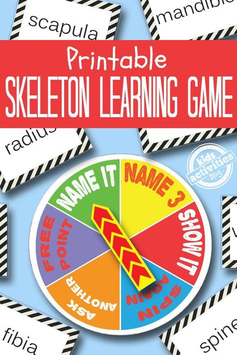 Learn about the bones in our bodies through play with this free skeleton printable game from Kids Activities Blog. Skeletal System Activities For Middle School, Apologia Anatomy, Skeleton Printable, Learning Anatomy, Human Body Activities, Human Body Unit, Cc Cycle 3, Health Class, Skeletal System