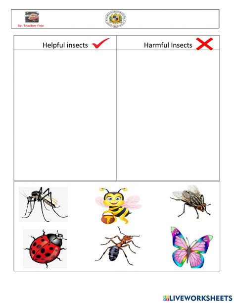 Insect Body Parts, April Ideas, Insect Identification, Harmful Insects, The Worksheet, Beneficial Insects, Bugs And Insects, School Subjects, Online Workouts