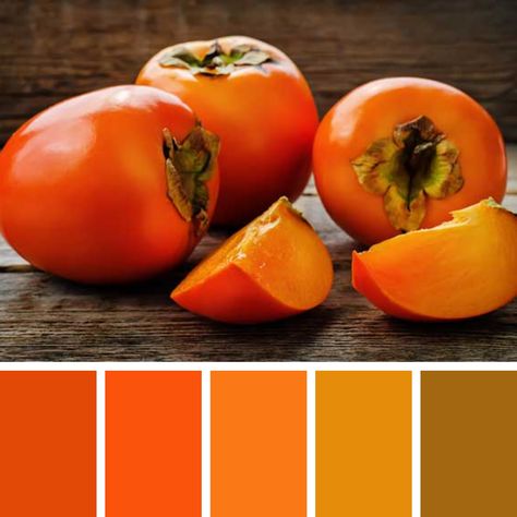 Persimmon Color Palette, Food Colors Palette, Color Exploration, Persimmon Color, Orange Food Coloring, True Autumn, Food Inspired, Orange Aesthetic, Soft Autumn