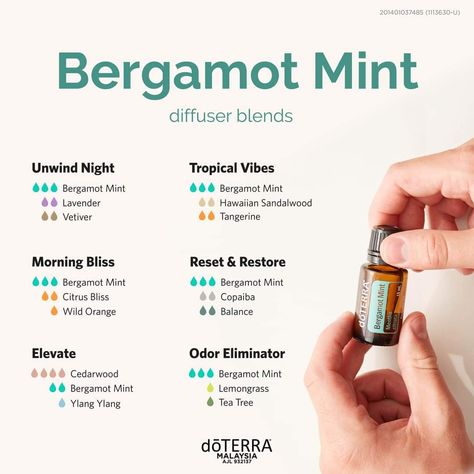 Bergamot Mint Diffuser Blend, Doterra Bergamot Mint, Mint Diffuser Blends, Coconut Essential Oil, Esential Oils, Waking Up In The Morning, Doterra Diffuser, Homemade Essential Oils, Floral Essential Oils