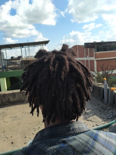 Freeform Locs Men, Short Freeform Locs, Semi Freeform Locs, Freeform Dreadlocks, Freeform Dreads, Free Form Locs, Freeform Locs, Hair Like Wool, Dreadlocks Men