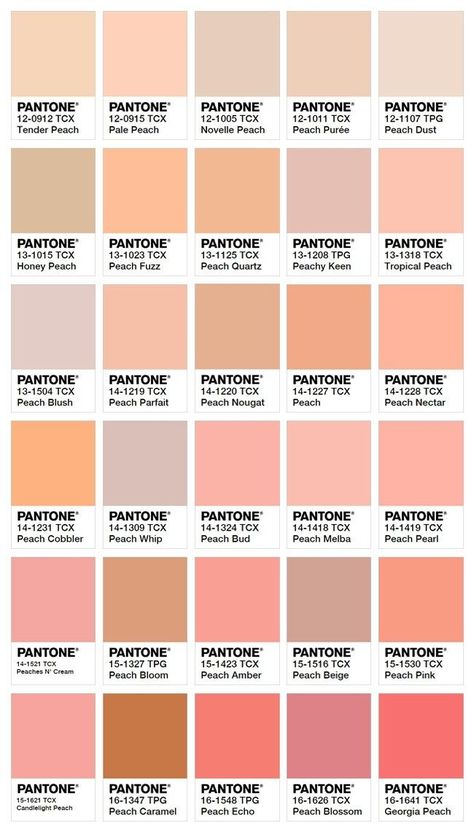 Pantone Peach Shades, Peach Pantone Color, Color Palette Printable, Peach Tones Colour Palettes, Shades Of Peach Colour Palettes, Peach Palette Color, Peach Color Wallpaper, Peach Color Wall, Color Palette Peach