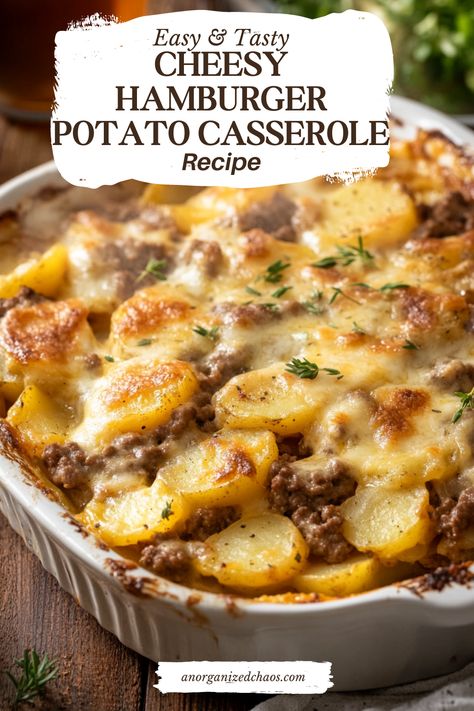 Cheesy Hamburger Potato Casserole - An Organized Chaos Hamburger Meat And Potatoes Casseroles, Meat And Potato Casserole Recipes, One Dish Hamburger Meals, Ground Beef Scalloped Potato Casserole, Hamburger And Onion Recipes, Meals With Burger Meat, Cheesy Potato Hamburger Casserole, Recipes With Hamburger Meat Ground Beef, Hamburger And Potato Casserole Recipes