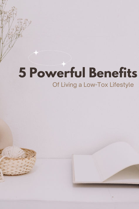 Are you curious about how a low-tox lifestyle can transform your health and home? By reducing exposure to harmful chemicals in everyday products, you can enjoy numerous physical, mental, and environmental benefits. Whether you’re just starting your low-tox journey or looking for more reasons to stick with it, this guide will inspire you with the top five powerful benefits of living a low-tox lifestyle. Lowtox Living, Habits And Routines, Useful Gadgets, Mental Health Support, Top Five, Harmful Chemicals, Healthy Habits, Chemicals, Well Being